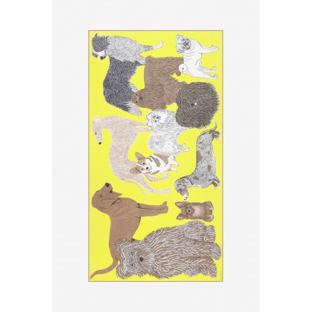 Inoui Editions medvilnės skara TOUTOU YELLOW